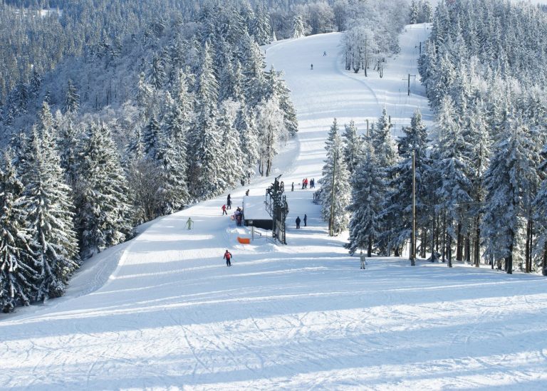 Group Going Down Trail Ski