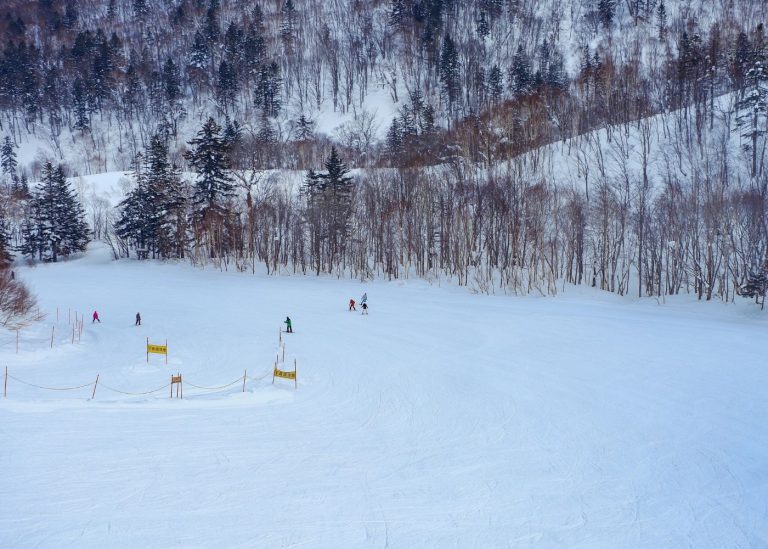 Skiiers In Hokkaido